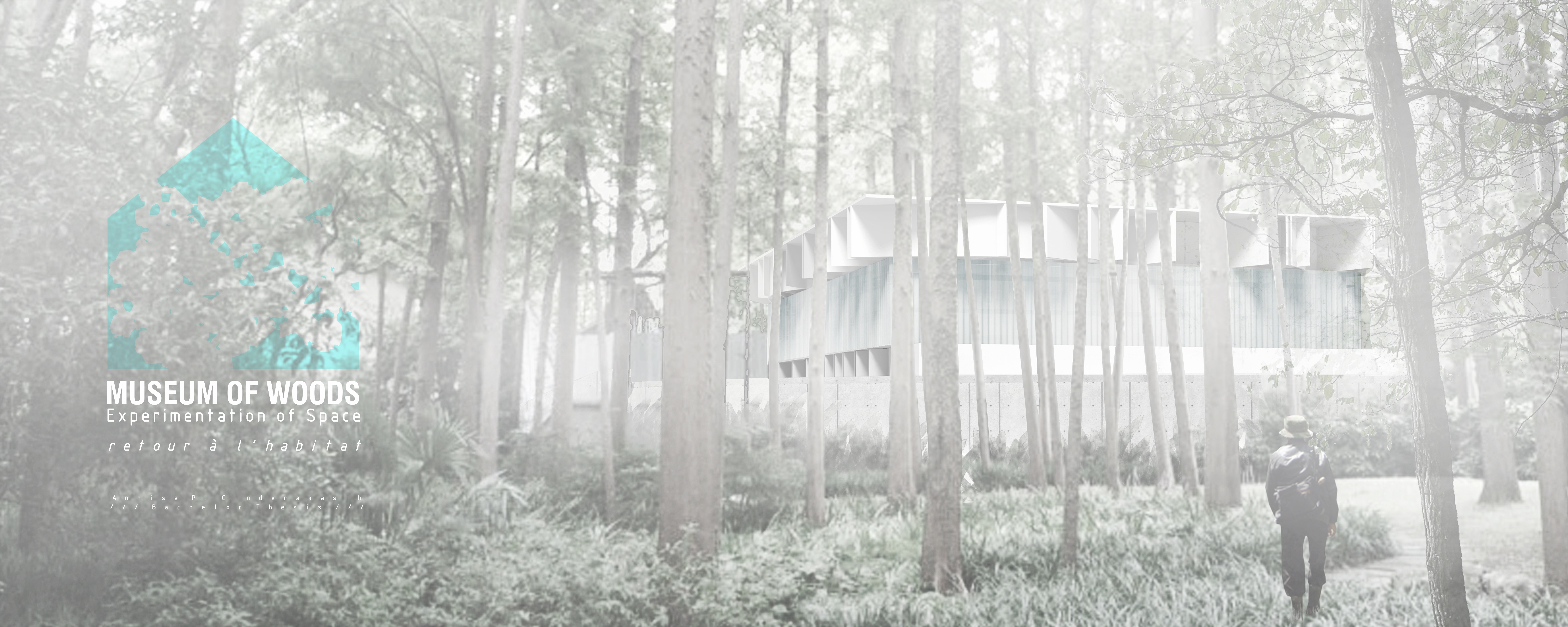 MUSEUM OF WOODS
Experimentation of Space
Retour a l'habitat