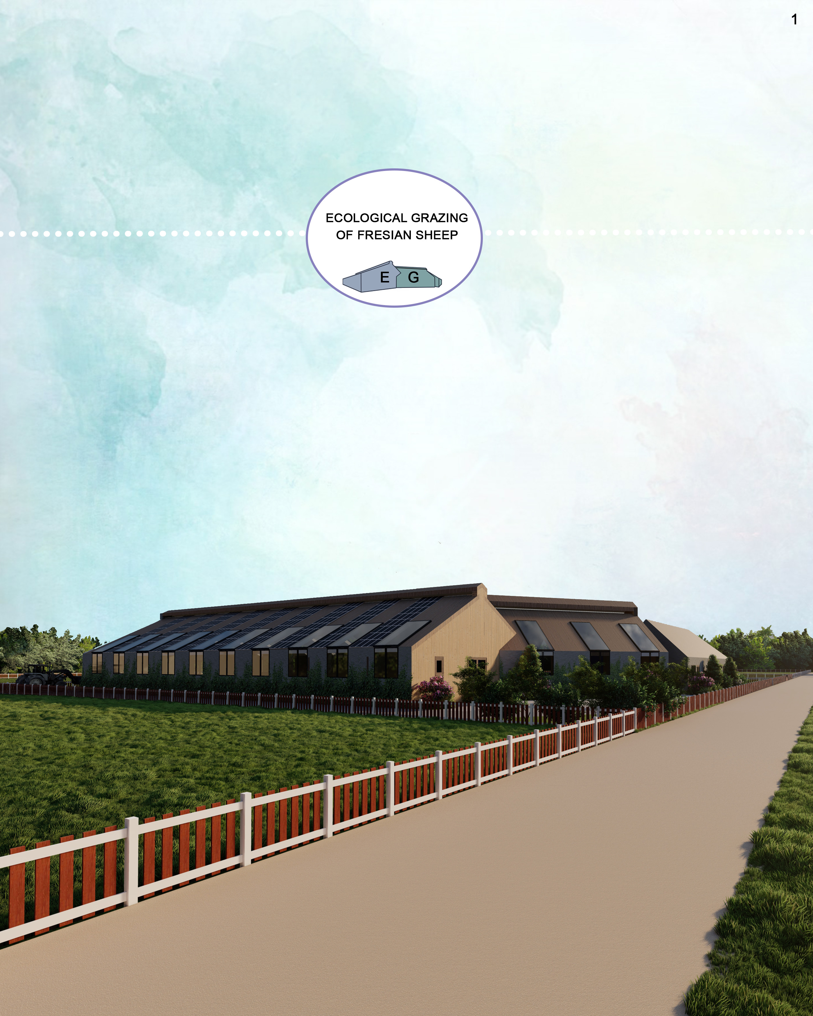 Ecological grazing of Friesian sheep